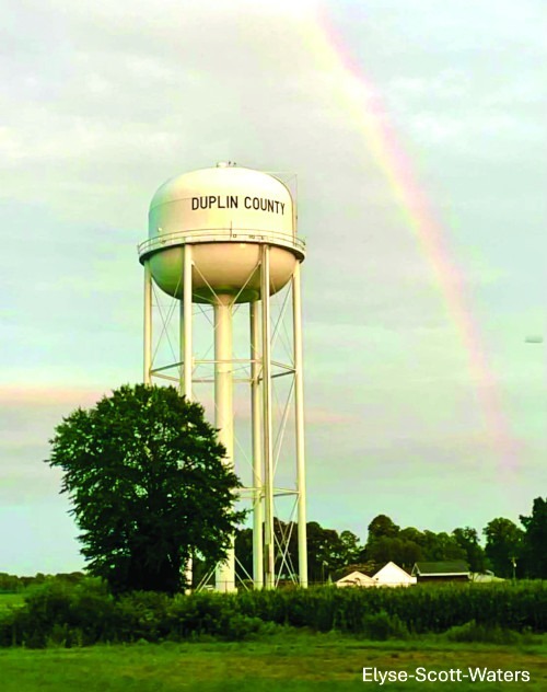 A tall white water tower labeled "Duplin County" stands near trees and buildings, with a faint rainbow in the cloudy sky.